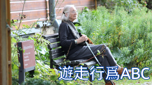 游走行爲观察abc-一